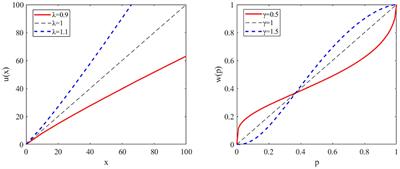 Nonlinear Probability Weighting in Depression and Anxiety: Insights From Healthy Young Adults
